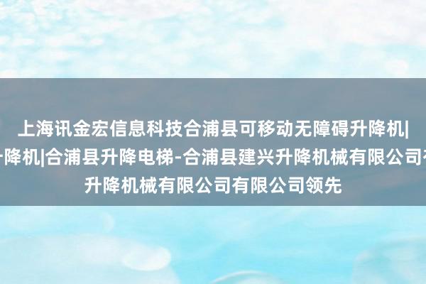 上海讯金宏信息科技合浦县可移动无障碍升降机|合浦县汽车升降机|合浦县升降电梯-合浦县建兴升降机械有限公司有限公司领先